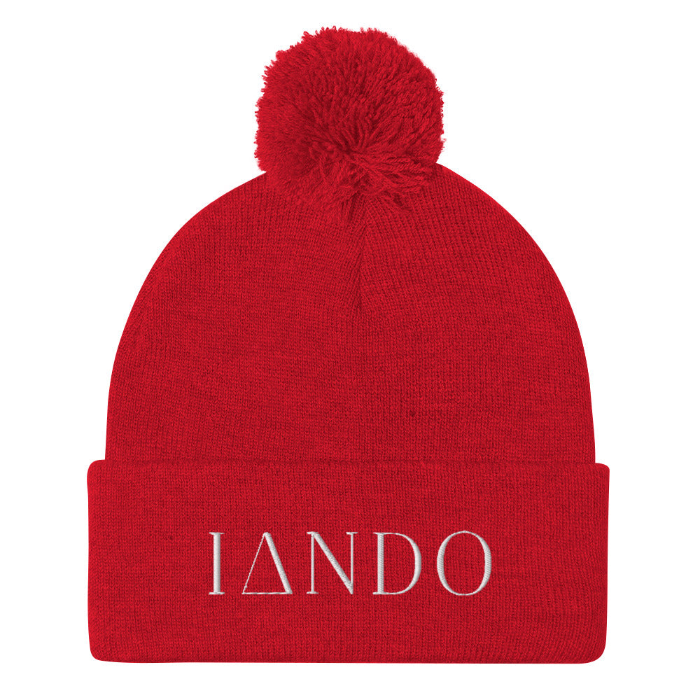 IANDO Pom-Pom Beanie