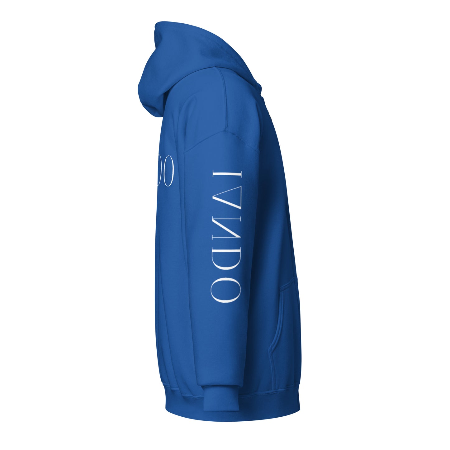 IANDO Unisex Heavy Blend Zip Hoodie