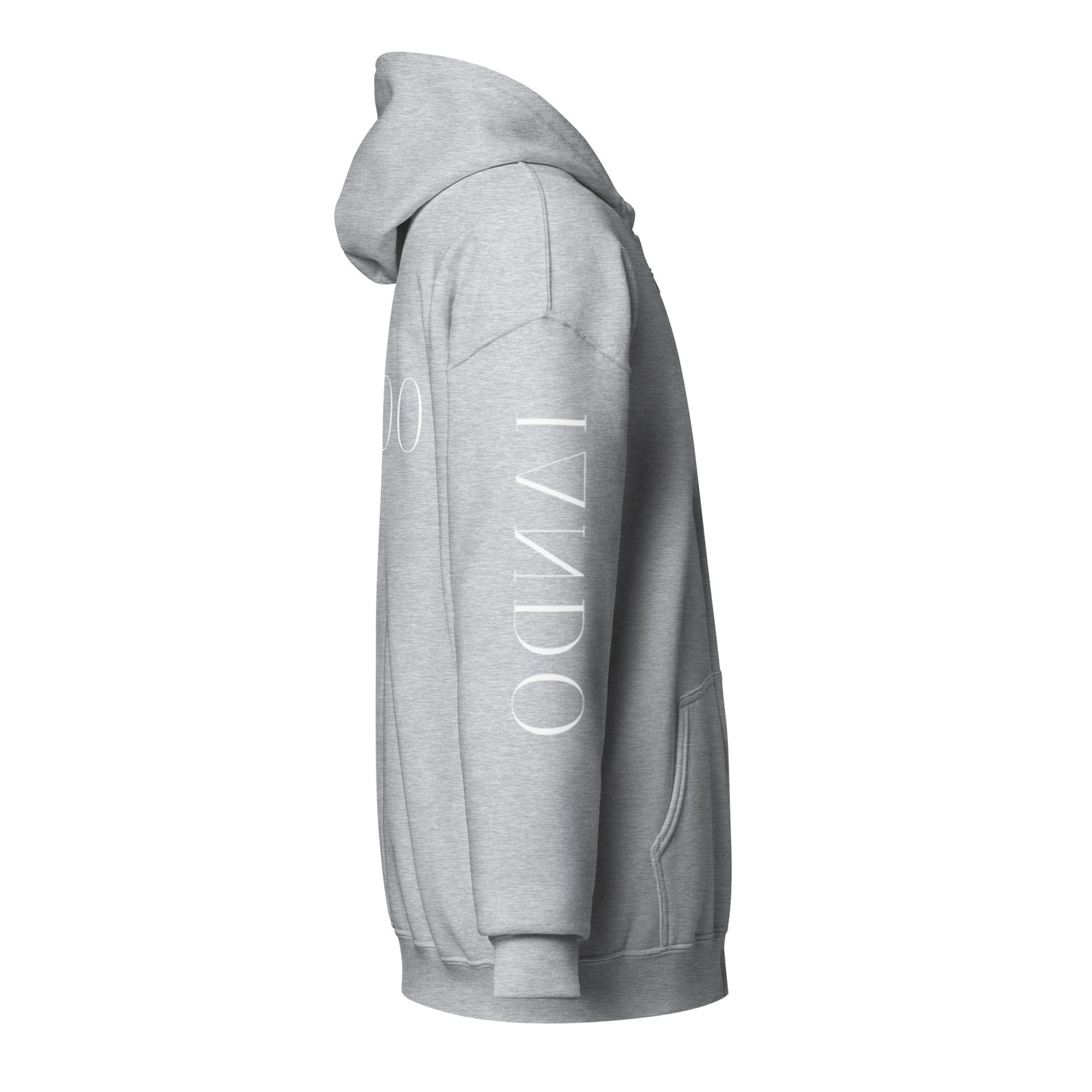 IANDO Unisex Heavy Blend Zip Hoodie