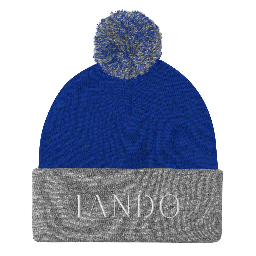 IANDO Pom-Pom Beanie
