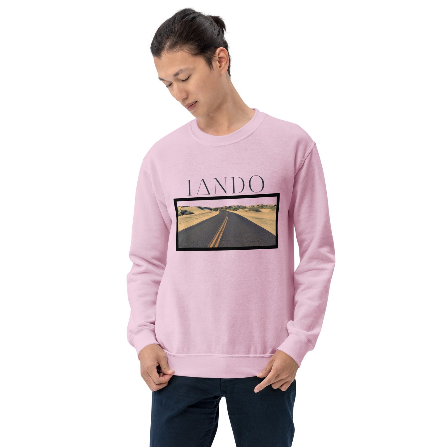 IANDO I-10 CA